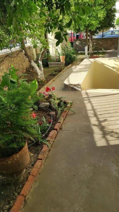 ανακαινισμένο Apartament *
